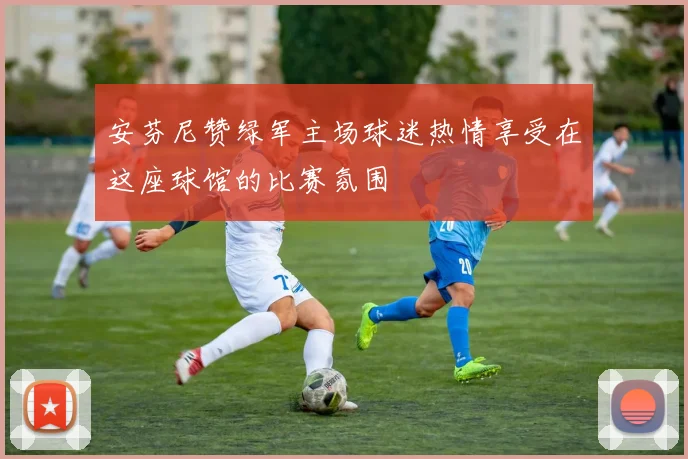 安芬尼赞绿军主场球迷热情享受在这座球馆的比赛氛围