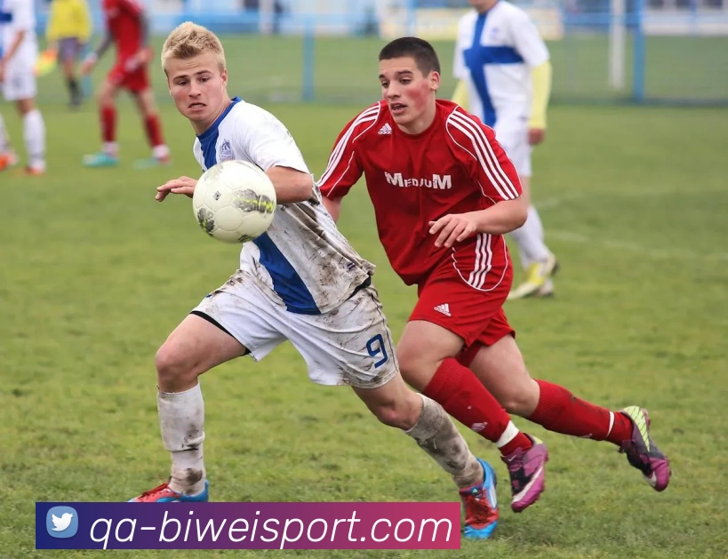 必威足球平台生态图